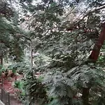 Maison De Ville, Garden View