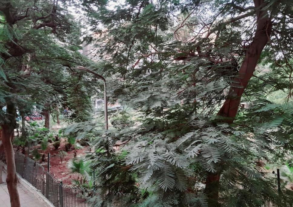 Apartment Maison De Ville, Garden View